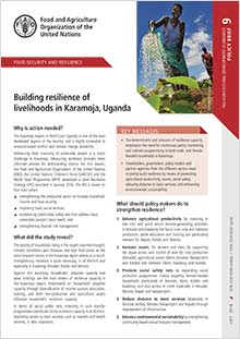 Building resilience of livelihoods in Karamoja, Uganda