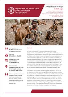 Soutien d’urgence à la protection des moyens d’existence des pasteurs et des agropasteurs an Niger | Profil du projet