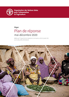Niger | Plan de réponse (Mai-Décembre 2020) 