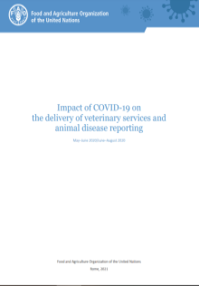 Impact of COVID-19 on the delivery of veterinary services and animal disease reporting | May–June 2020/June–August 2020