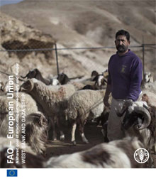 FAO-European Union - A shared goal of eradicating extreme poverty and hunger in the West Bank and Gaza Strip