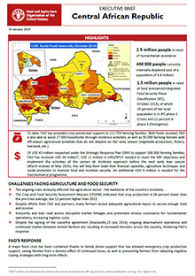 Central African Republic - Executive brief 15 January 2015