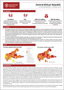 Central African Republic - Situation report October 2019