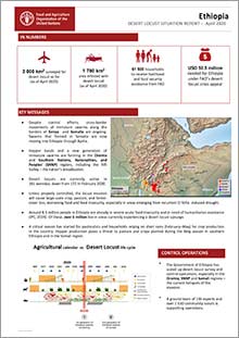 Ethiopia - Desert locust Situation report April 2020