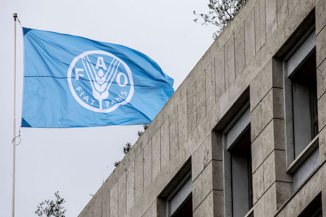 FAO is pivoting its ongoing programmes to emergency response, continuing its longstanding commitment to the people of Ukraine, while ensuring safety of its staff.  ©FAO/Alessandra Benedetti