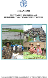 Myanmar - Post-Nargis Recovery and Rehabilitation Programme Strategy
