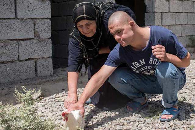 Creating alternative livelihoods for farming families in Iraq