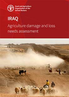 Iraq - Agriculture damage and loss needs assessment