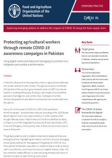 Protecting agricultural workers through remote COVID-19 awareness campaigns in Pakistan