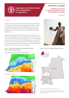 Mauritanie et Sénégal | Évaluation des besoins en situation d’urgence à la suite de l’infestation de rongeurs (juillet 2021)