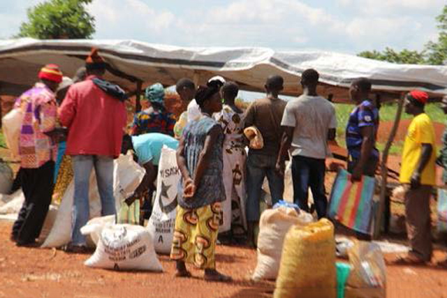 Support to agricultural recovery and improvement of food security in the Central African Republic