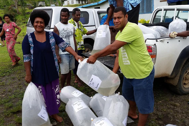Assistance d’urgence pour rétablir la production agricole, halieutique et de plantes aquatiques après le cyclone tropical Winston
