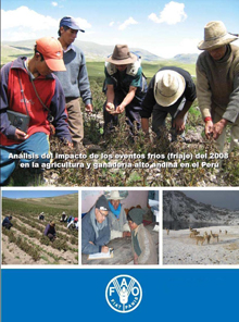 Análisis del impacto de los eventos fríos (fríaje) del 2008 en la agricultura y ganadería altoandina en el Perú