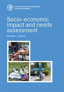 Ukraine Socio-economic Impact and Needs Assessment