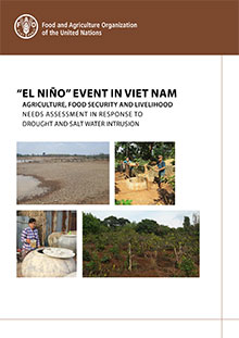 “El Niño” event in Viet Nam: Agriculture, food security and livelihood need assessment in response to drought and salt water intrusion