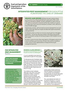 Integrated pest management for Eucalyptus plantations: the case of Zimbabwe