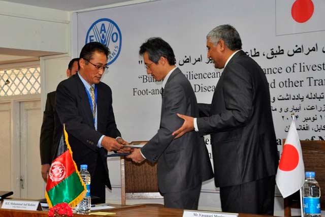 Japan strengthens food security in Afghanistan with a donation of US$ 18 million to help combat the threat of animal diseases – nomad community key beneficiary Japan strengthens food security in Afghanistan with a donation of US$ 18 million to help combat the threat of animal diseases – nomad community key beneficiary