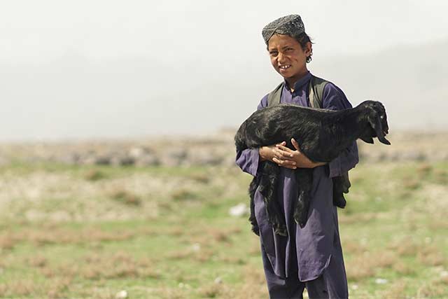 Nearly six thousand Afghan farming families severely affected by drought targeted for emergency assistance