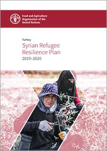 Syrian Refugee Resilience Plan 2019–2020