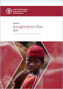 Somalia Drought Action Plan 2019