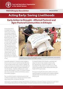 FAO Ethiopia Newsletter - November 2019