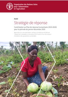 Haïti | Stratégie de réponse (janvier-décembre 2020) (IN FRENCH)