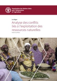 The Niger - Analysis of conflicts related to the exploitation of natural resources (IN FRENCH)