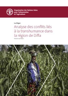 Le Niger – Analyse des conflits liés à la transhumance dans la région de Diffa