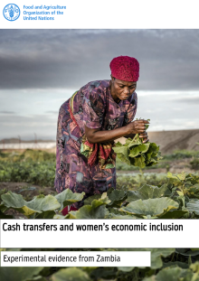 Cash transfers and women's economic inclusion: Experimental evidence from Zambia