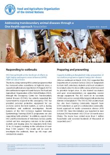 Addressing transboundary animal diseases through a One Health approach