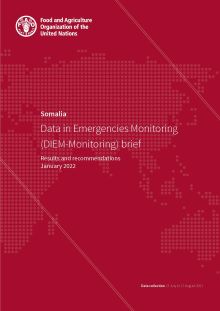 Somalia - Data in Emergencies Monitoring (DIEM-Monitoring) brief