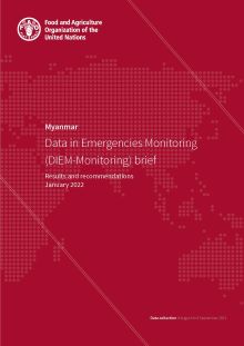 Myanmar – Data in Emergencies Monitoring (DIEM-Monitoring) brief