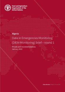 Nigeria | Data in Emergencies Monitoring (DIEM-Monitoring) brief – round 1