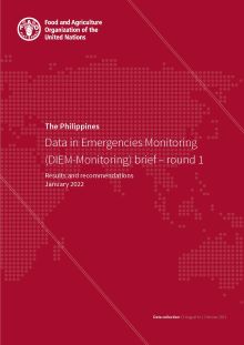 The Philippines | Data in Emergencies Monitoring (DIEM Monitoring) brief - round 1