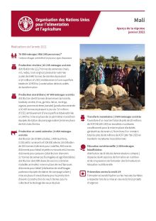 Mali | Response overview, January 2022 (IN FRENCH)
