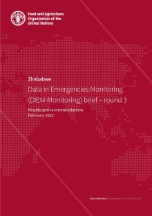 Zimbabwe | Data in Emergencies Monitoring (DIEM-Monitoring) brief – round 3