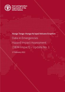 Hunga Tonga–Hunga Ha’apai Volcano Eruption: DIEM-Impact – Update No. 1