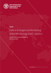 Chad | Data in Emergencies Monitoring (DIEM-Monitoring) brief – round 2