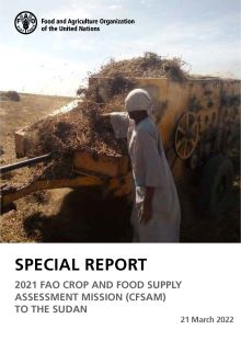 Special report – 2021 FAO Crop and Food Supply Assessment Mission to the Sudan