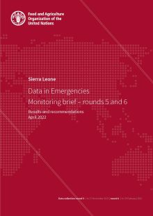 Sierra Leone | Data in Emergencies Monitoring brief – rounds 5 and 6