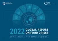 2022 Global Report on Food Crises