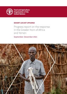 Desert locust upsurge: Progress report on the response in the Greater Horn of Africa and Yemen, September–December 2021