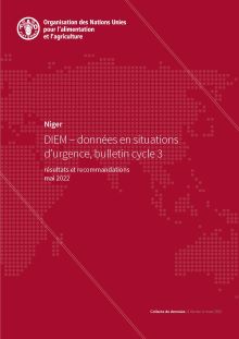 Niger: DIEM – données en situations d’urgence, bulletin cycle 3