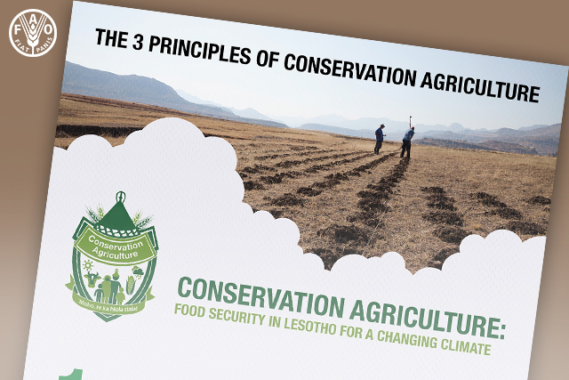 The 3 principles of conservation agriculture - INFOGRAPHIC