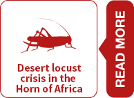 Read more about FAO in emergencies and the Desert Locust crisis in the Horn of Africa