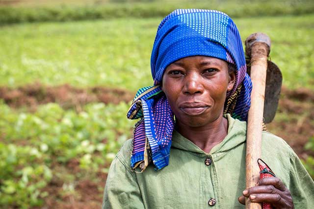 L’Allemagne soutient les petits exploitants agricoles pour rétablir leurs moyens de subsistance en République démocratique du Congo