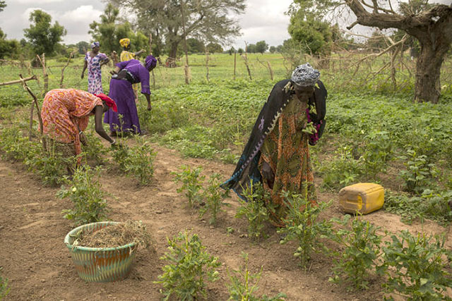 Reducing disaster risks in agriculture is a win-win for small-scale farmers