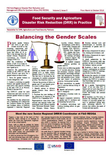 Newsletter REOSA - N. 3, March to October 2013