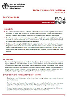 Ebola Virus Disease Outbreak in West Africa - Executive brief 22 October 2014