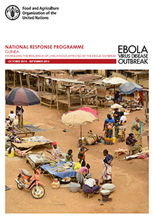 Ebola Outbreak West Africa: National Response Programme Guinea (October 2014 – September 2015)